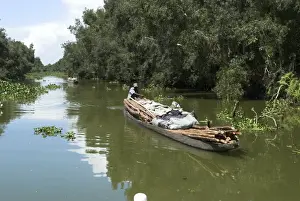 Canoe Prints: Picture No. 10865042