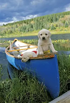 Canoe Prints: Picture No. 10867107