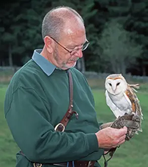 Tyto Prints: Picture No. 10868394