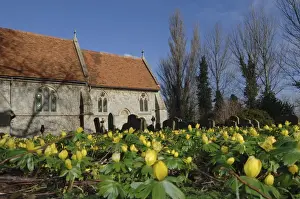 Churches Prints: Picture No. 10869493
