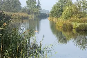 Marsh Prints: Picture No. 10870049