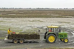Trailer Prints: Picture No. 10871050