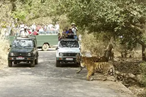 Tourists Prints: Picture No. 10872257