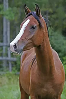 Picture No. 10872504
