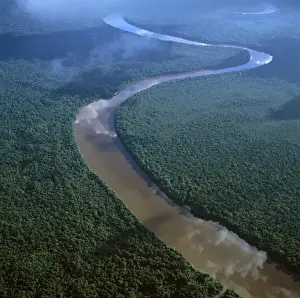 Guyana Prints: Picture No. 10875125
