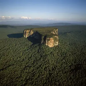 Guyana Prints: Picture No. 10875131