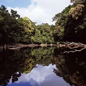 Guyana Prints: Picture No. 10875137