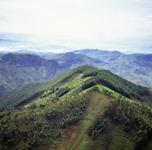 Foothills Prints: Picture No. 10875304