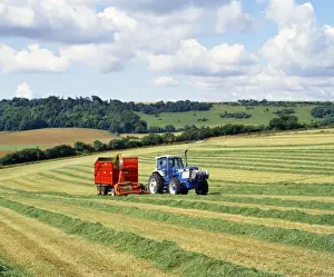 Harvests Prints: Picture No. 10875568