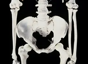 Upper Prints: Picture No. 10875818