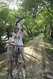 Bicycle Prints: Picture No. 10876253
