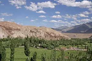 Picture No. 10876300