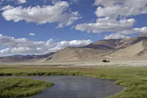 Picture No. 10876320
