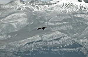 Images Dated 2003 September: 