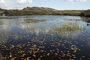 Hebrides Prints: Picture No. 10876504