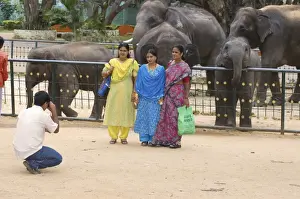 Zoos Prints: Picture No. 10876652