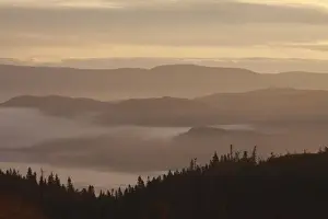 Morne Prints: Picture No. 10876829