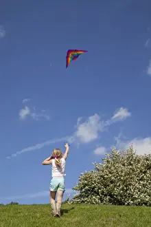 Kites Prints: Picture No. 10877095