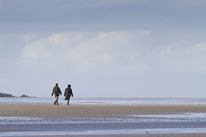 Images Dated 31st December 2009: Picture No. 10877303