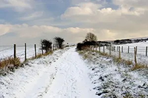 Picture No. 10877600