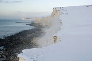 Images Dated 9th January 2010: Picture No. 10877608