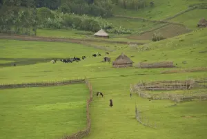 Huts Prints: Picture No. 10877675
