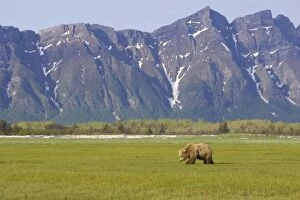 Alaskan Collection: Picture No. 10877932