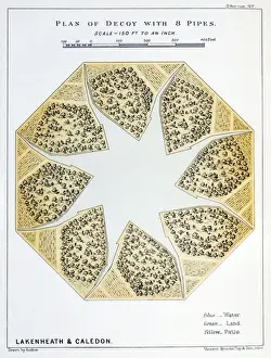 Illustrations Prints: Picture No. 10879827