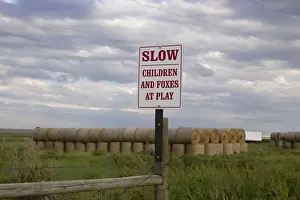 Signs Prints: Picture No. 10881763