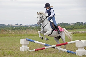 Show Collection: Picture No. 10881826