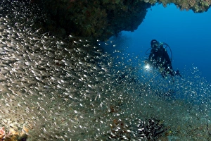 Images Dated 2011 January: 