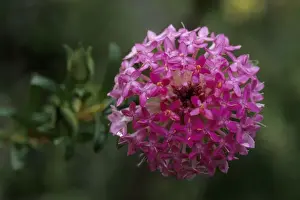 Picture No. 10883391