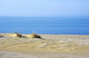 Caspian Prints: Picture No. 10883498