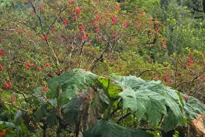 Picture No. 10885068