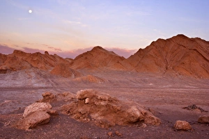 Images Dated 28th January 2010: Picture No. 10885077