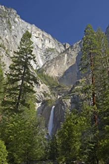 Yosemite Collection: Picture No. 10885170
