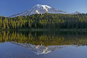 Rainier Prints: Picture No. 10885183