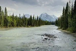 Athabasca Prints: Picture No. 10885238