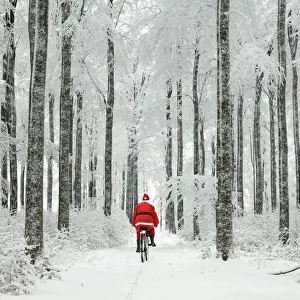 Avenue Prints: Picture No. 10885991