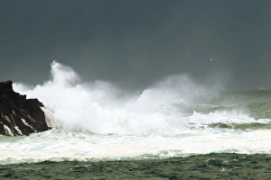 Images Dated 8th November 2010: Picture No. 10886135