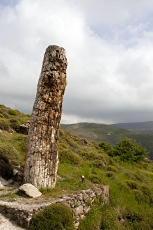 Images Dated 13th April 2011: Picture No. 10886623