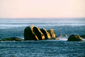 Winds Prints: Picture No. 10886655