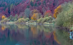 Banks Prints: Picture No. 10887344