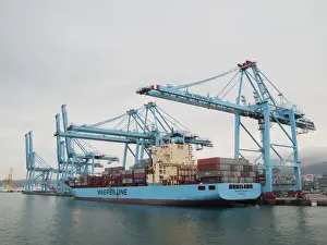 Container Prints: Picture No. 10887531