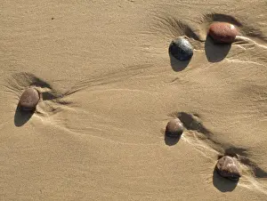 Pebbles Prints: Picture No. 10887581
