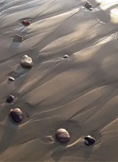 Pebbles Prints: Picture No. 10887584