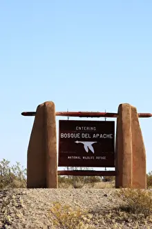 Bosque Prints: Picture No. 10888661