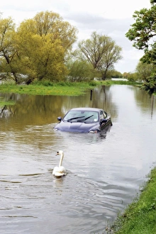 Images Dated 6th May 2012: Picture No. 10889020