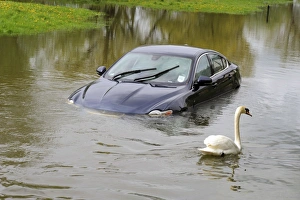 Images Dated 6th May 2012: Picture No. 10889022