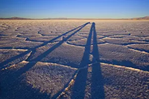 Level Prints: Picture No. 10889305